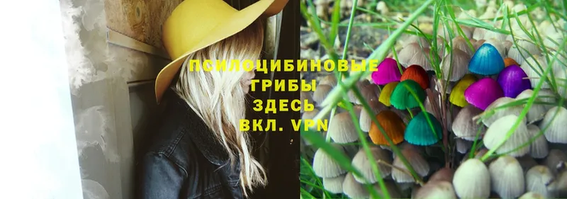 MEGA ссылка  Туринск  Галлюциногенные грибы Psilocybe 